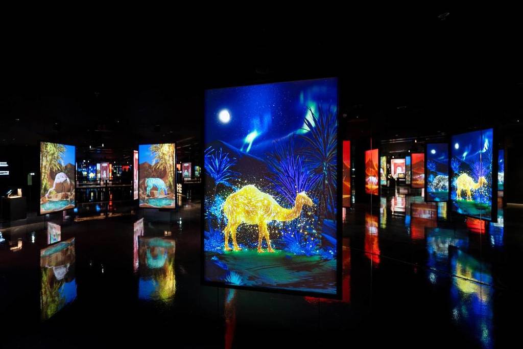 Multiple screens reflected against mirrors creating a cascading maze of art
