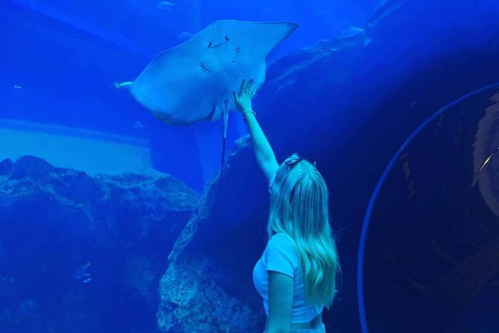 A woman reaching out for a stingray swimming above her at the Dubai Aquarium