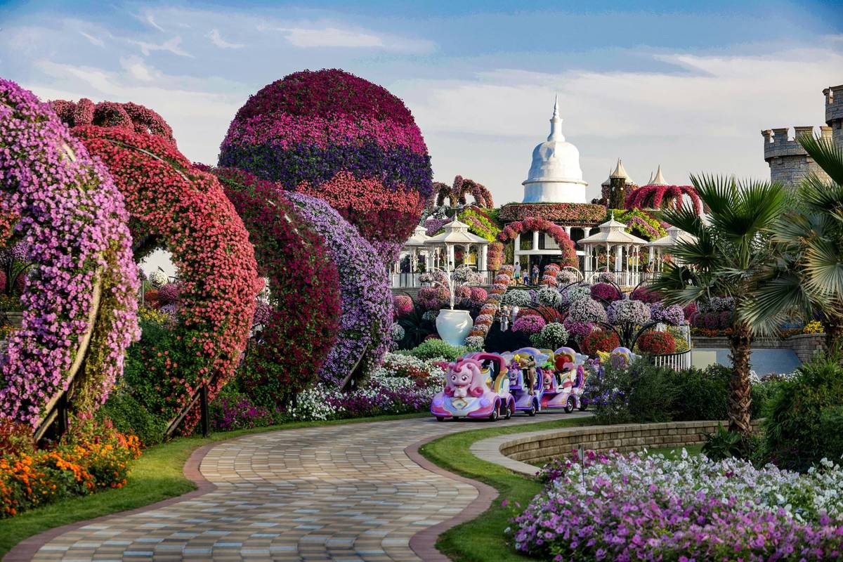 dubai miracle garden free for all
