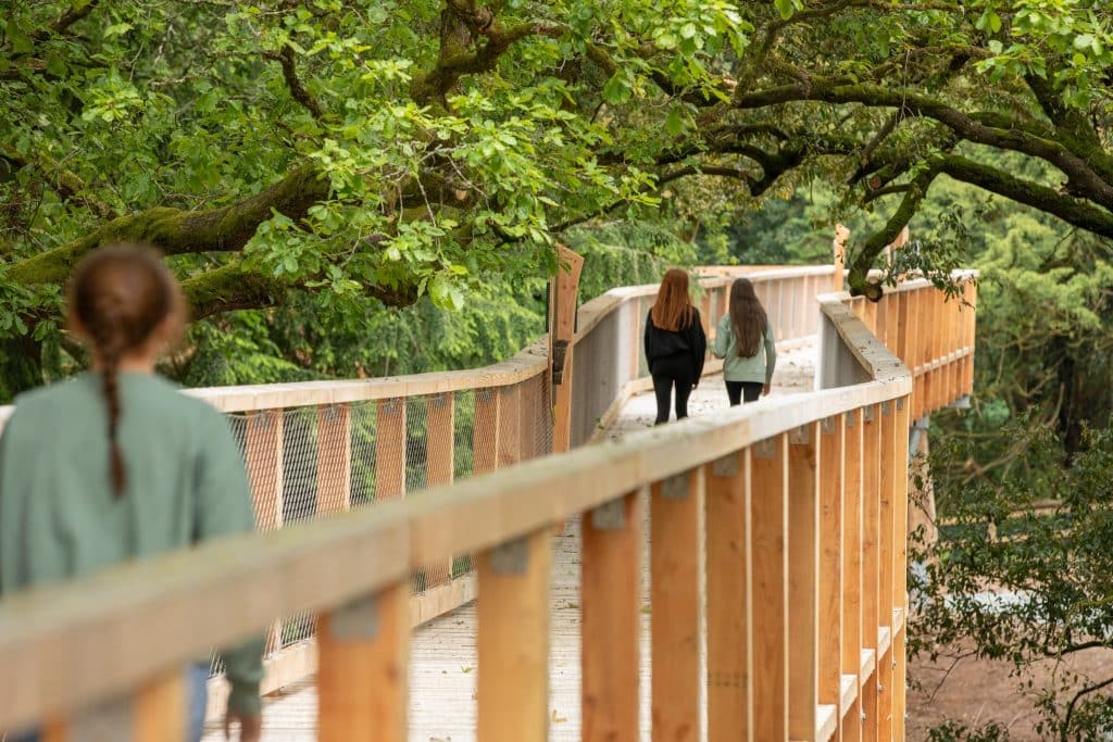 Enjoy Stunning Views At The New Beyond The Trees Treetop Walk