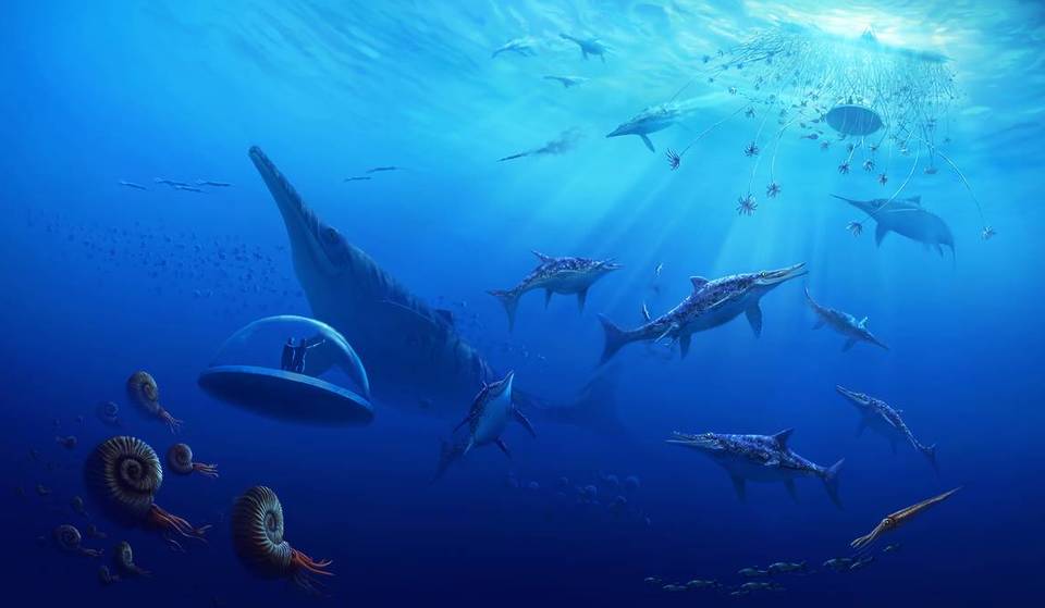 Last Chance: Travel Billions Of Years Back In Time At This Captivating VR Experience Before It Leaves Edmonton