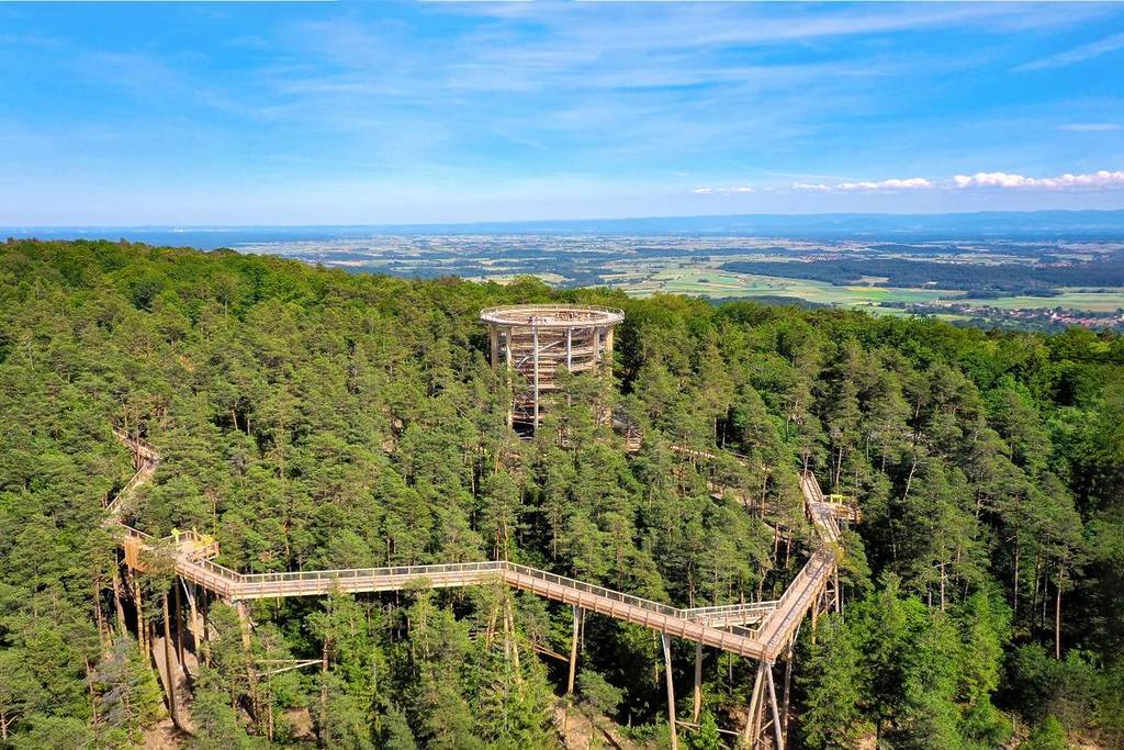 Baumwipfelpfad Elsass