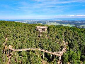Nur 2,5 Stunden von Frankfurt entfernt befindet sich ein 1.050 Meter langer Pfad mit einem 29 Meter hohen Turm, der euch einen atemberaubenden 360°-Panoramablick auf die umliegende Natur beschert