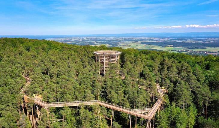 Just 2.5 hours from Frankfurt lies a 1,050-meter-long trail featuring a 29-meter-high tower that offers a breathtaking 360° panoramic view of the surrounding nature