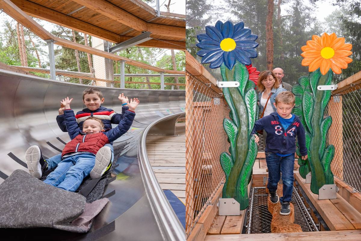 Baumwipfelpfad Elsass Abenteuer Naturpark