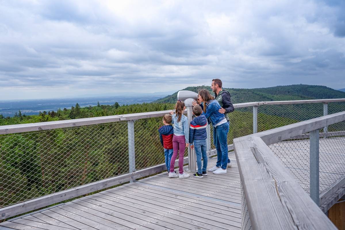 Baumwipfelpfad Elsass Aussichtsplattform