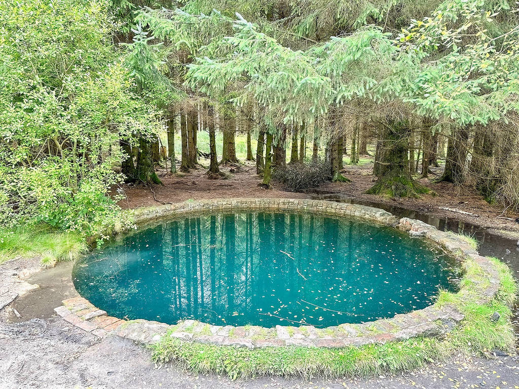 torwood blue pool