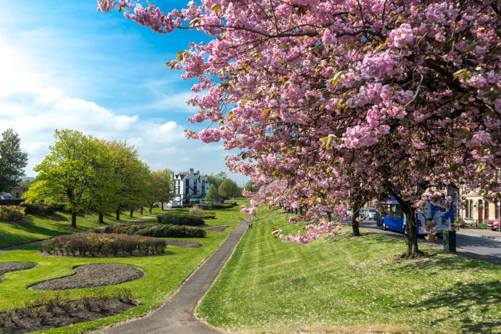 bonnybridge world's ufo hotspot