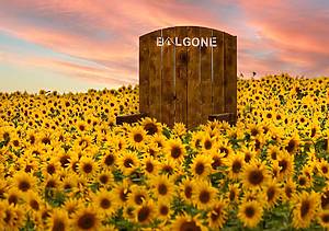 This Scottish farm an hour and a half from Glasgow is hosting a massive sunflower trail – and it’s opening this weekend