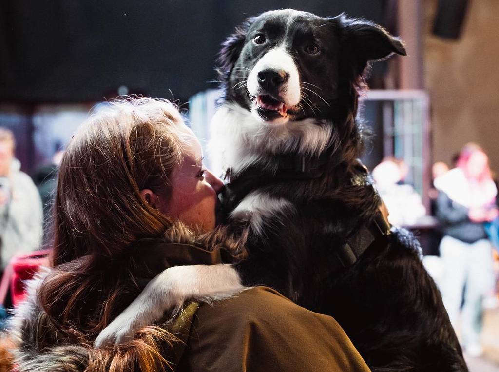 barklove dog
