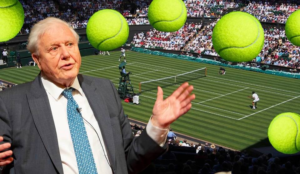 Here&#8217;s The Real Reason Why Tennis Balls Are Bright Yellow – And It&#8217;s Connected To David Attenborough