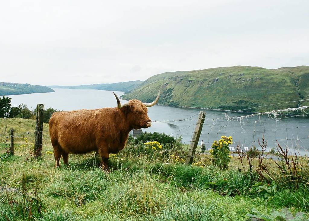 This Charming Scottish Isle Was Named One Of The Best Places To Go In Europe In 2026 – And It’s Not What You Expect