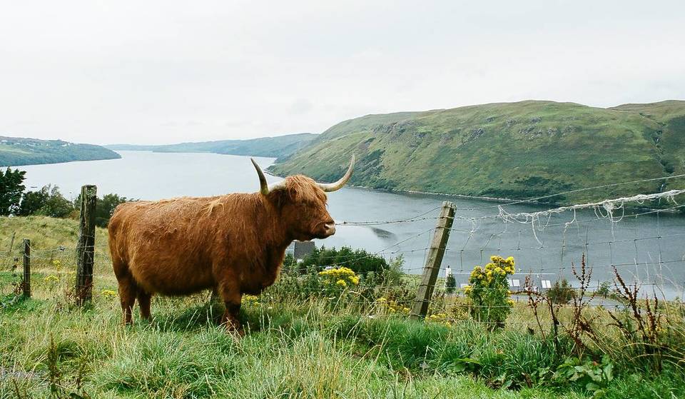 This Charming Scottish Isle Was Named One Of The Best Places To Go In Europe In 2026 &#8211; And It&#8217;s Not What You Expect