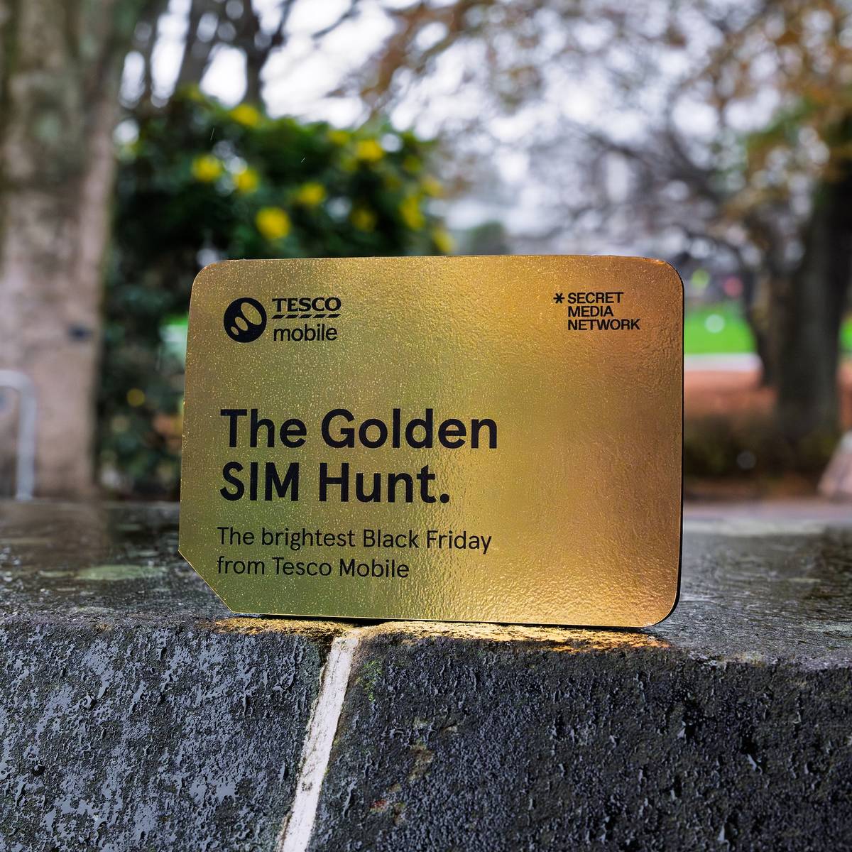 a tesco mobile golden sim card hidden in a glasgow garden