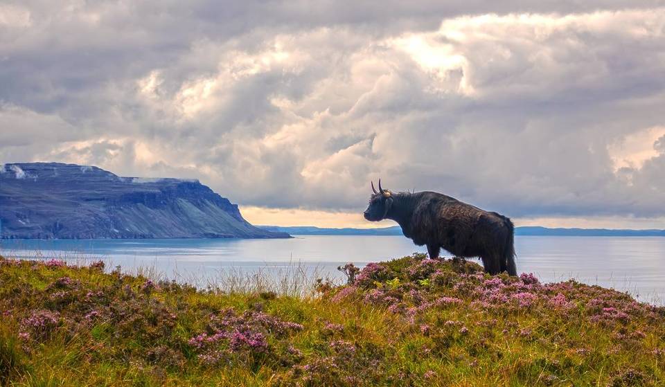 This small Scottish island on the West Coast is officially closed to tourists on Sundays – here’s why and who can still visit