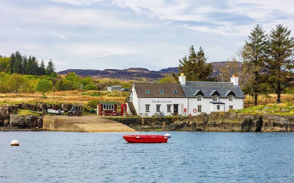 ulva