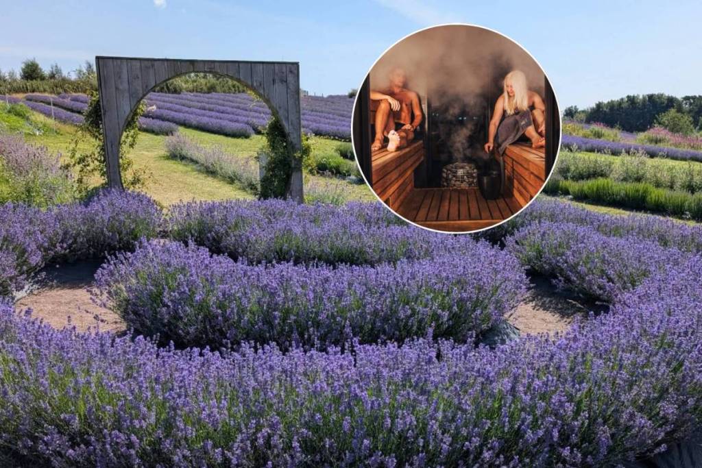 scottish lavender oils spa