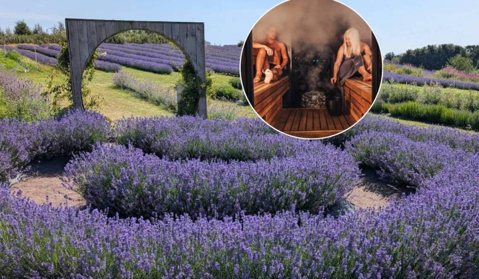 This massive lavender field an hour from Glasgow has just opened a Lavender Spa – and it’s actually affordable