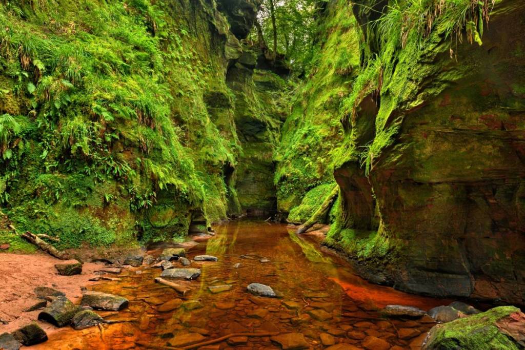 devil's pulpit gorge finnich glen fir sale