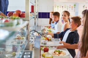 School dinners are about to undergo the biggest overhaul in a generation – and the strict new standards have been backed by Jamie Oliver and Emma Thompson