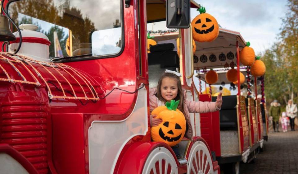 Scotland’s largest theme park is hosting a huge pumpkin patch this October – and it’s just 20 minutes from Glasgow