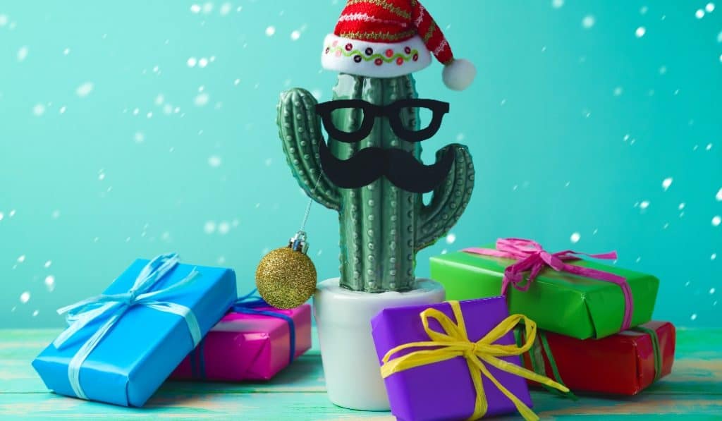 7 Tipps für ein alternatives, weihnachtliches Online-Shopping