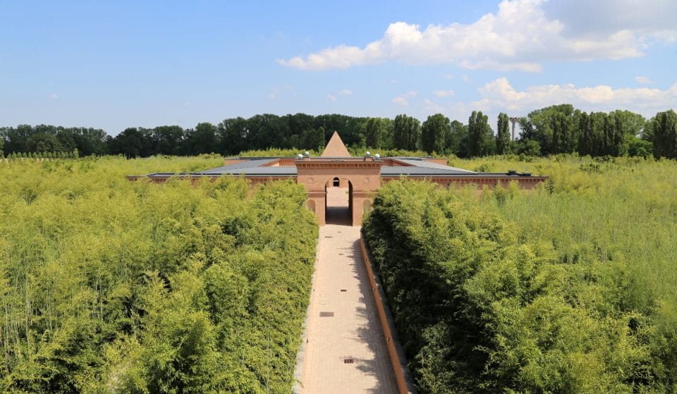 So sieht das größte Labyrinth der Welt aus