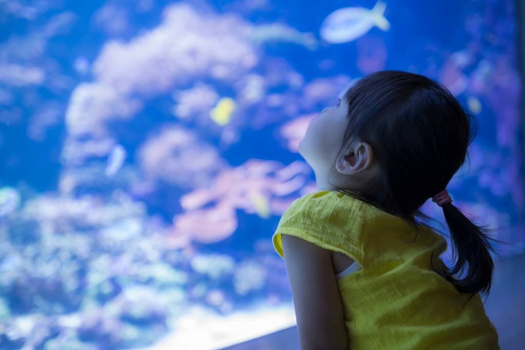 Little girl marvels at fish in the aquarium in Hamburg