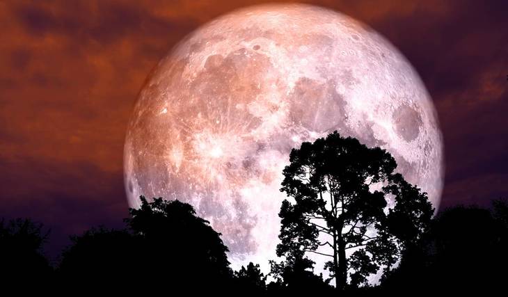 Erdbeermond über Hamburg: Nach 18 Jahren zurück – was hinter dem seltenen Naturphänomen steckt!