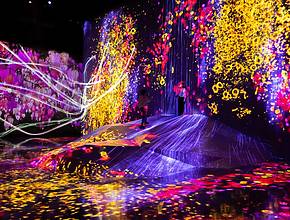 Aus Tokio direkt zu uns: Europas größtes Digital Art Museum kommt nach Hamburg