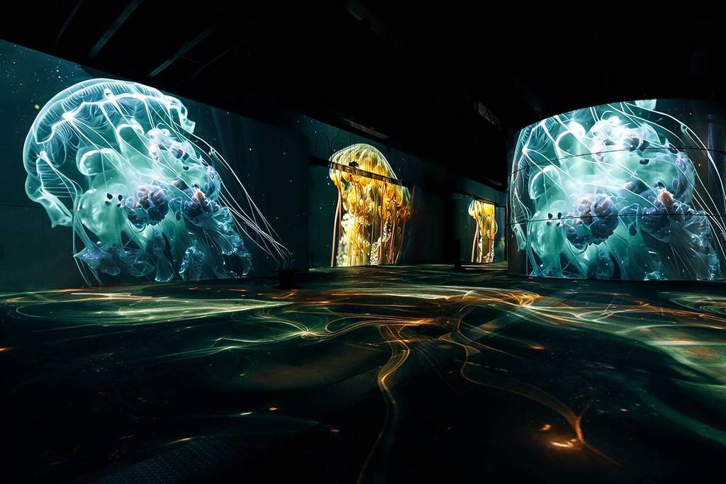 Ocean Wonder World, Underwater World