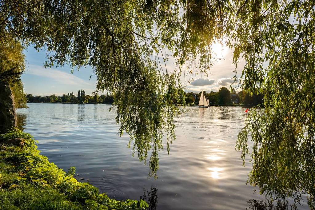 Nature in Hamburg, Lake in the Park