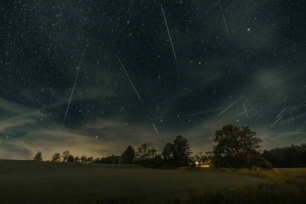 Landscape with a dark sky, stars, and the Perseids