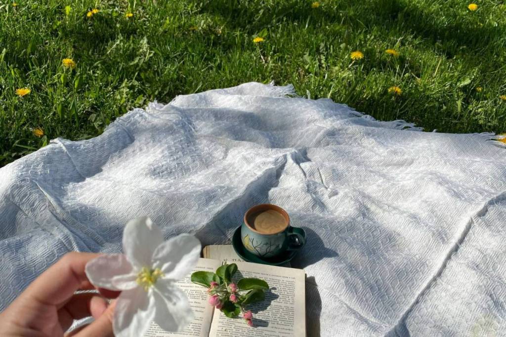 Picknicken im Grünen