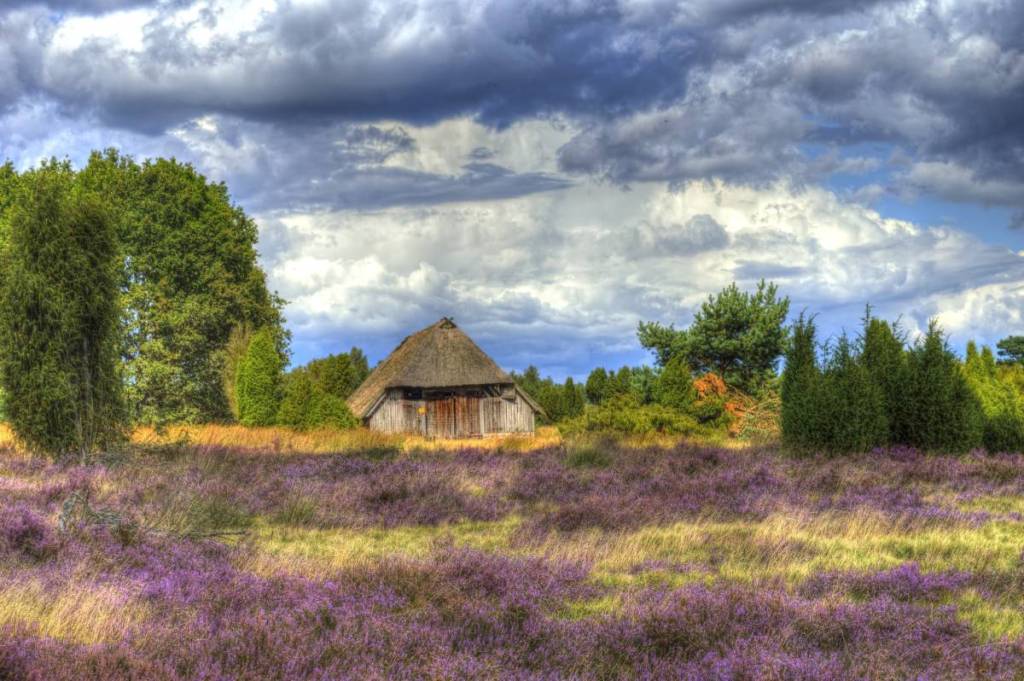 Hütte mitten in der Lüneburger Heide