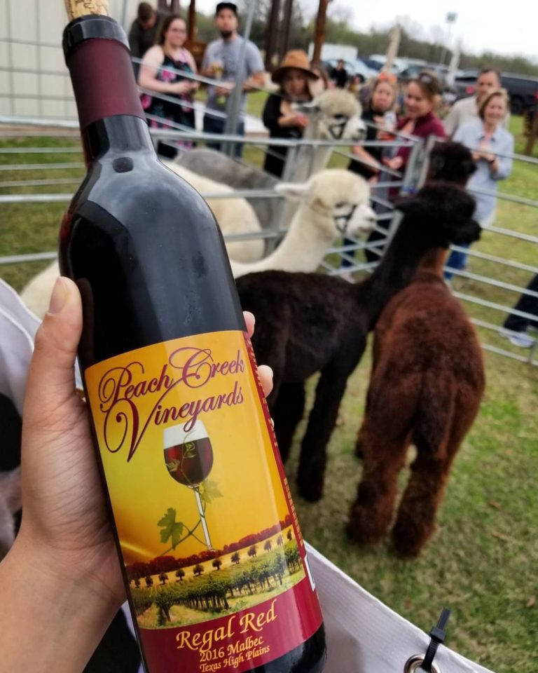 Drink Wine With Llamas At This Ranch Because Why Not