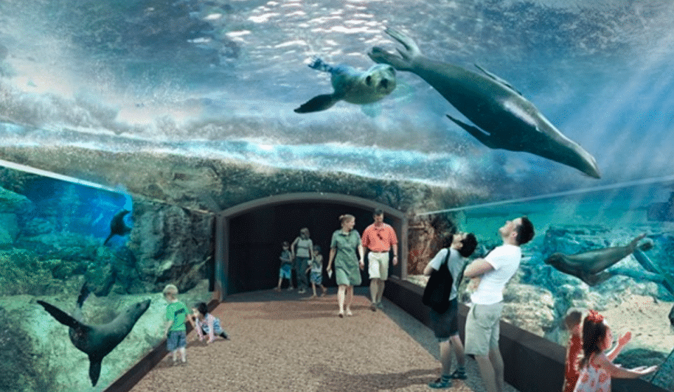 Houston Zoo Debuts Its Cutting-Edge New ‘Galapagos Islands’ Exhibit