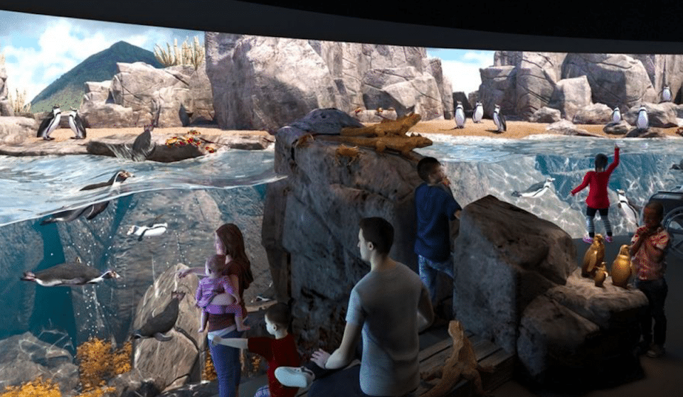 Houston Zoo Named One Of The Best In The US By Recent Study