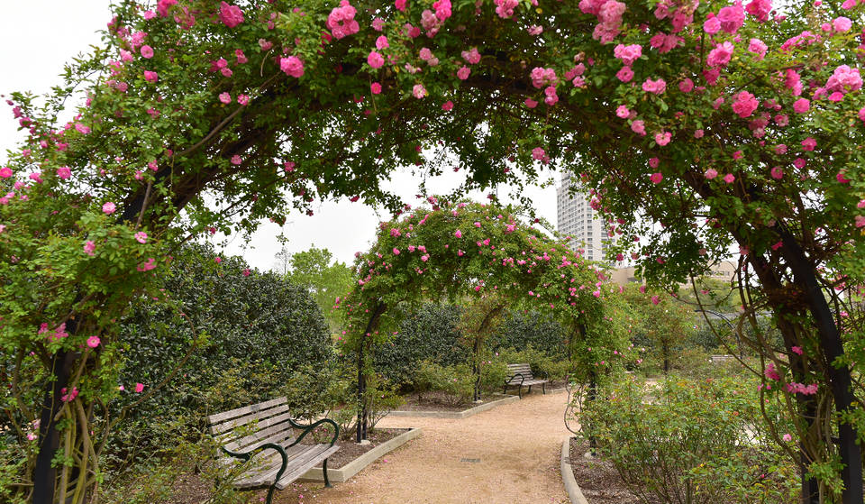 40+ Lovely Things To Do In Houston This February