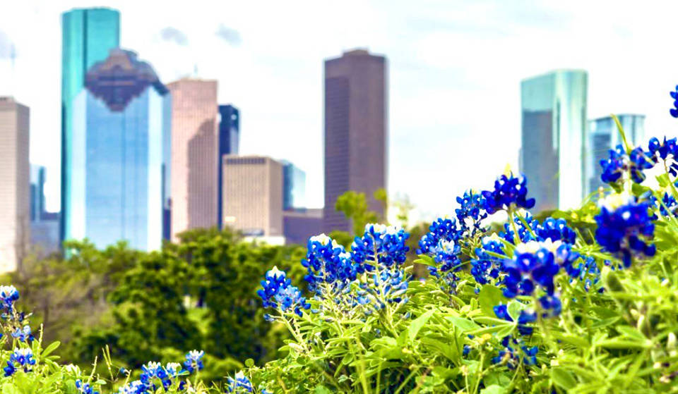 25 cosas magníficas que hacer en Houston este mes de marzo
