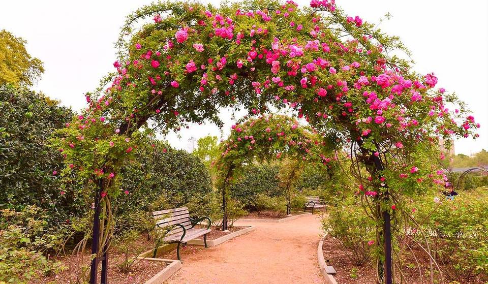 Una lista de cosas que hacer esta primavera en Houston: 20 cosas esenciales que hacer esta primavera en Houston