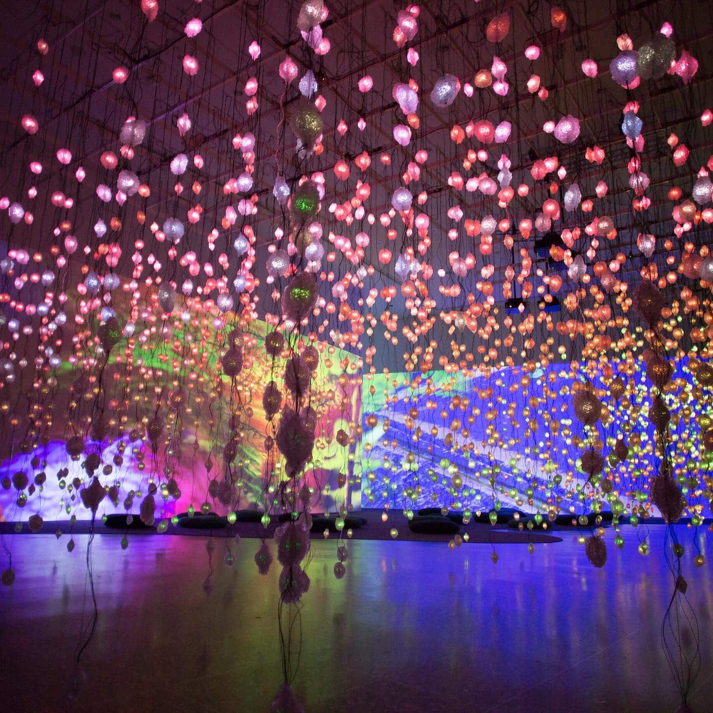 10 Unmissable Exhibitions In Houston 10-unmissable-exhibitions-in-houston