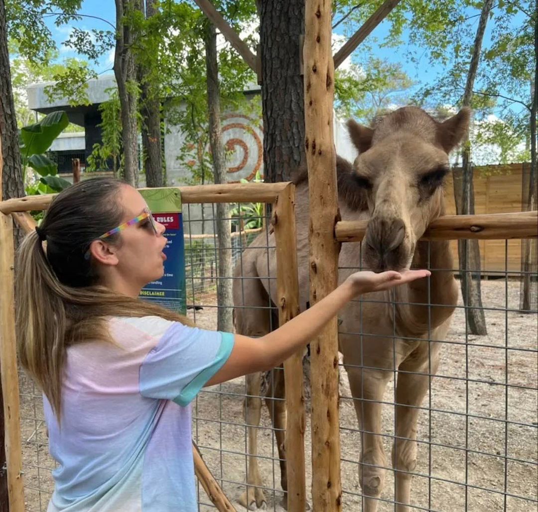 Go Wild At The Houston Interactive Aquarium & Animal Preserve