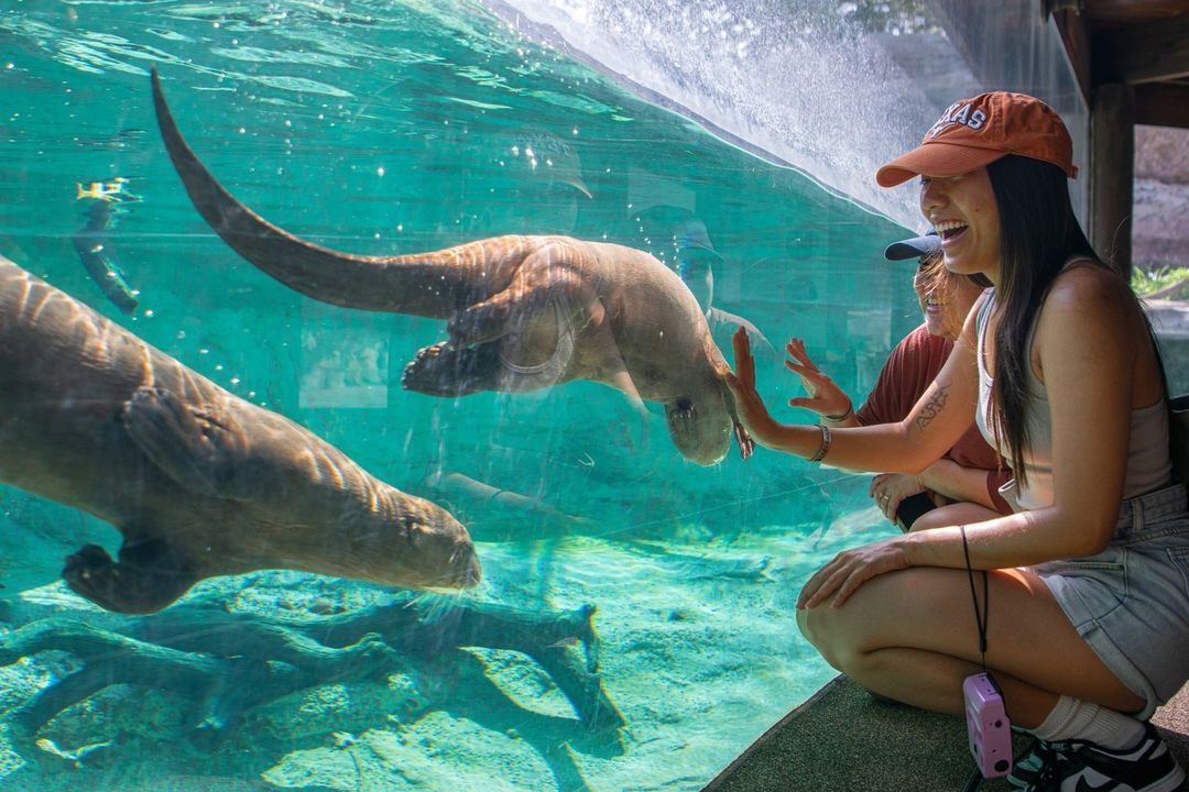 free-tuesdays-at-the-houston-zoo-is-a-must-for-houstonians