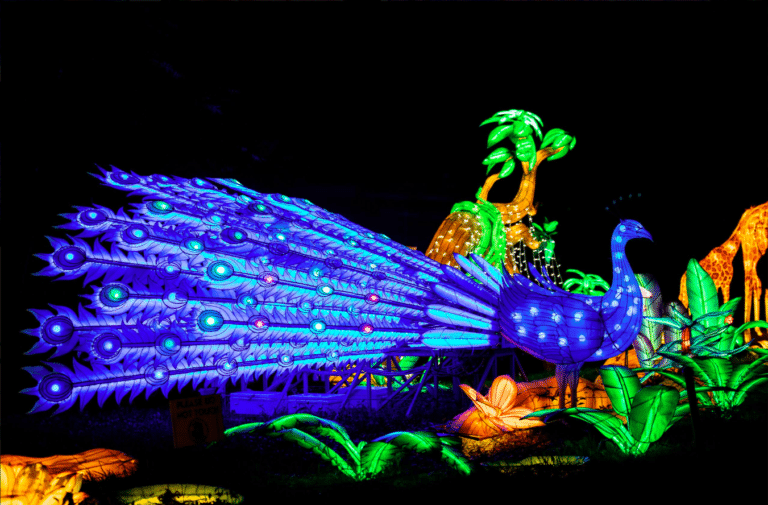 large-scale-winter-lantern-festival-opens-at-houston-botanic-garden
