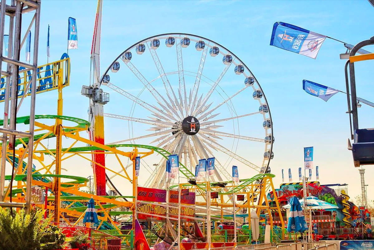 A Guide To The Houston Livestock Show & Rodeo 2025