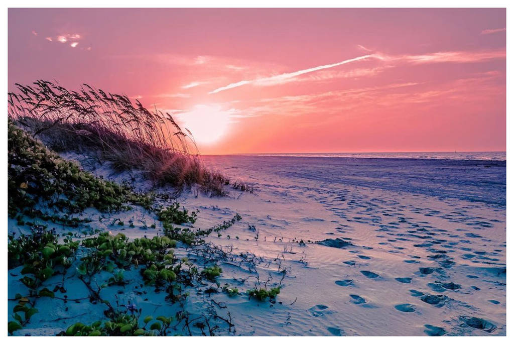 The sun rises over a bluff at the Matagorda Bay Nature Park during sunrise.