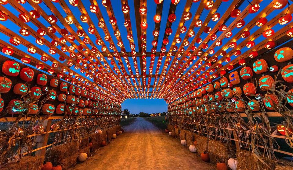 Pumpkins After Dark Is The Ultimate Halloween Destination & It’s Ending Soon