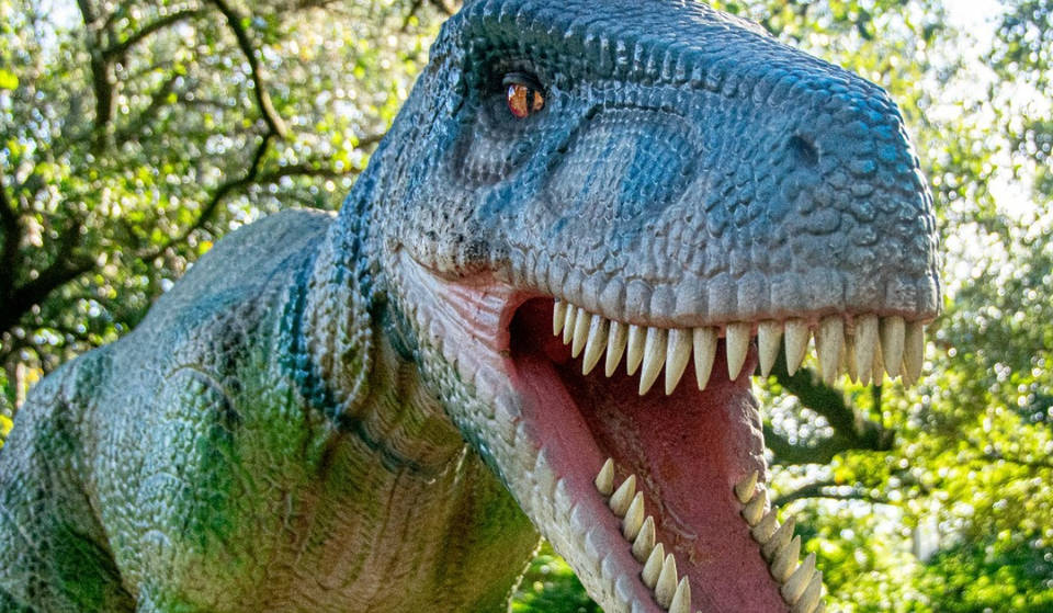 Houston Zoo Debuting Gigantic New Dinosaur Exhibition This Weekend