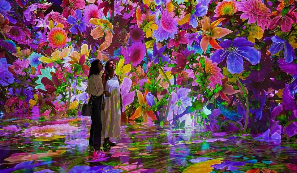 Blooming Wonders Brings A Stunning Digital Garden To Houston